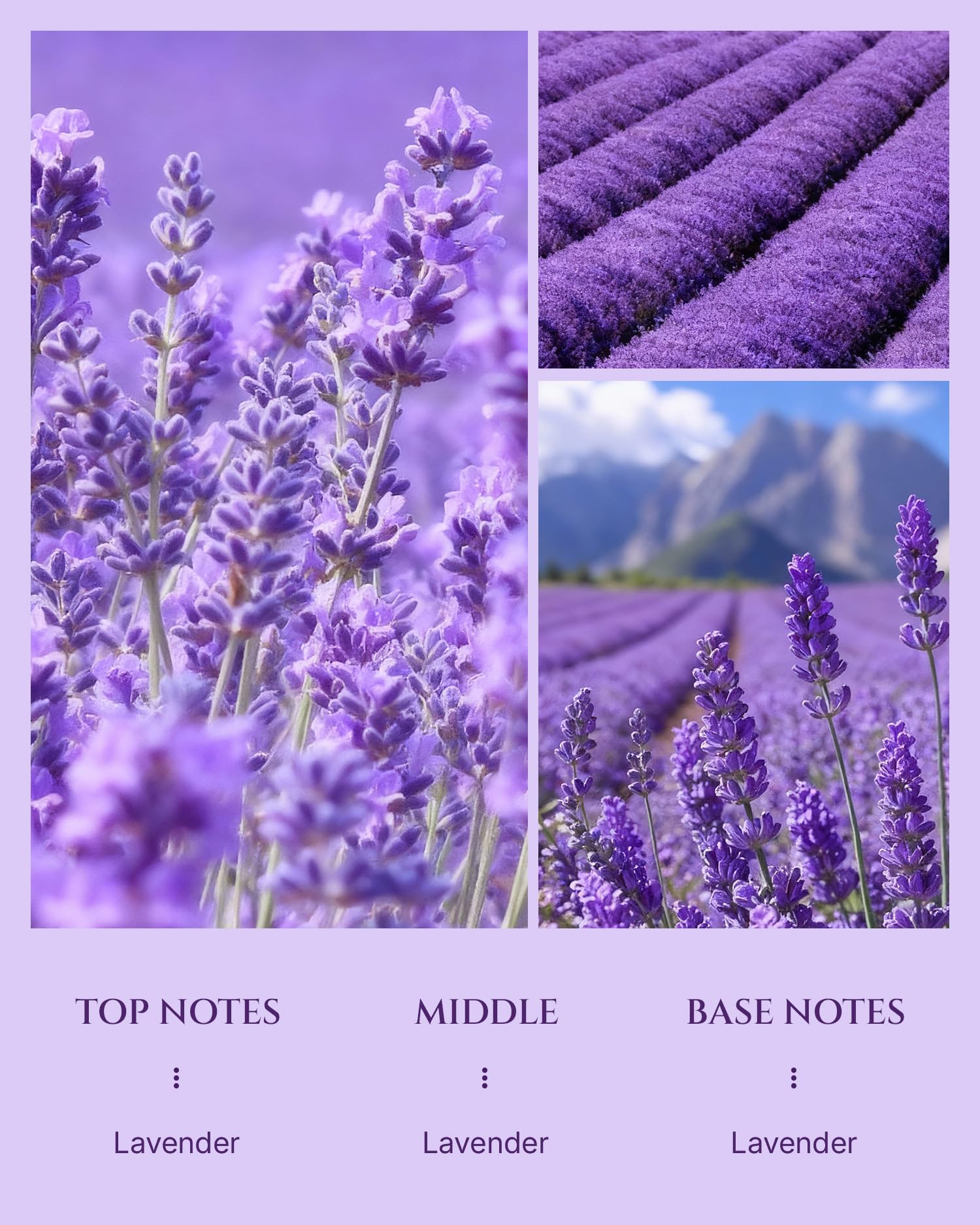 Aromadd Lavender diffuser oil in use with compatible diffusers for consistent fragrance.