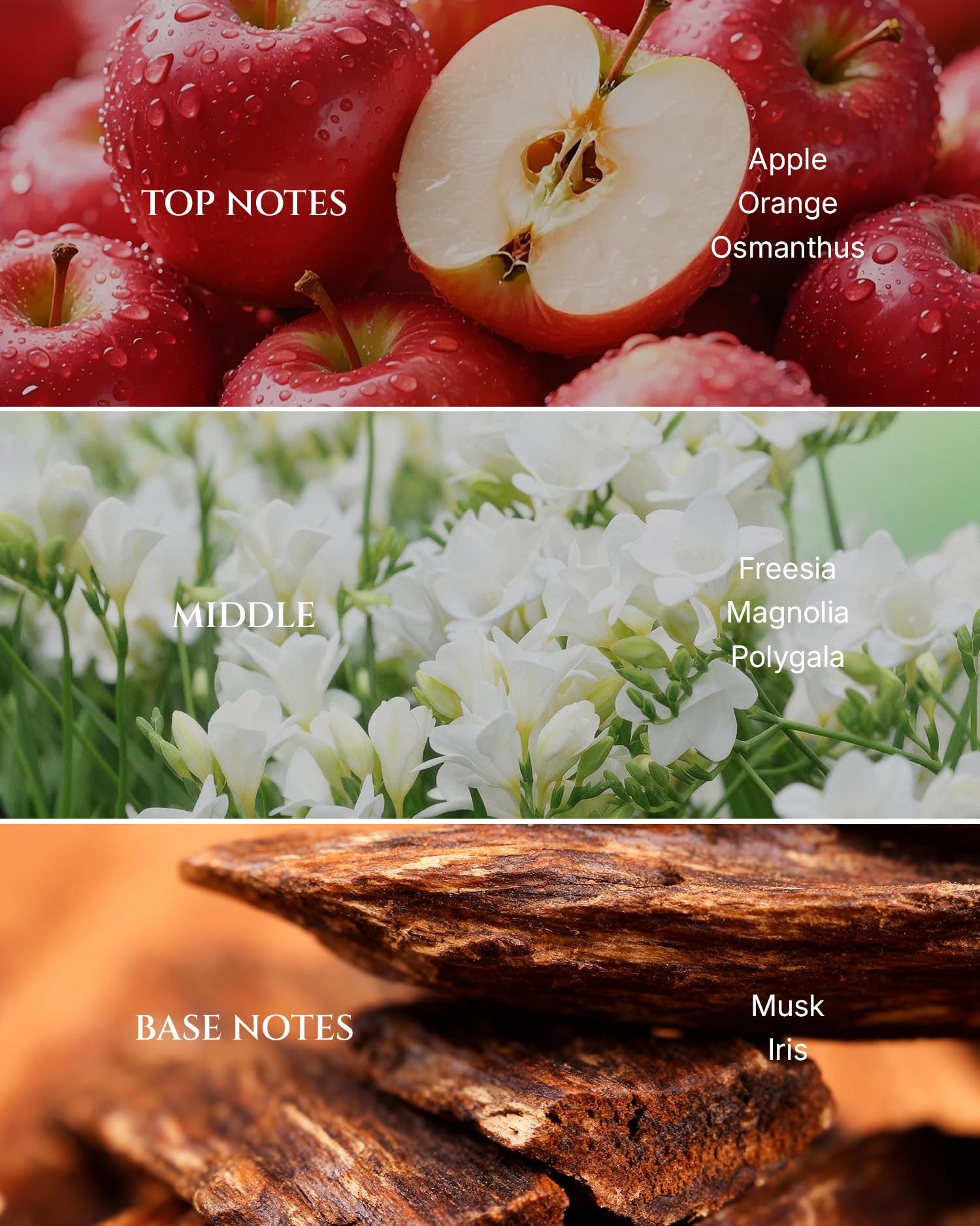 Aromadd Years of Flowers diffuser setup image, ideal for elevating living room ambiance.