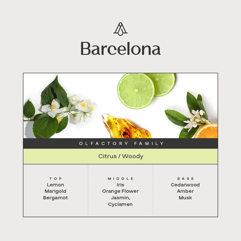 AROMAPLAN barcelona wood-musk diffusion creates warm ambiance