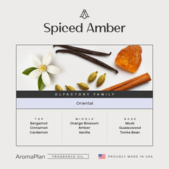 AROMAPLAN Spiced Amber diffuser setup with easy insert and instant ambience.