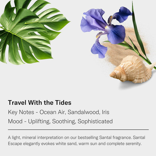 AromaTech Santal Escape Sandalwood focus creates a warm, sophisticated atmosphere.