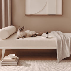 Aromatech The Garden diffuser room setup with aroma oil