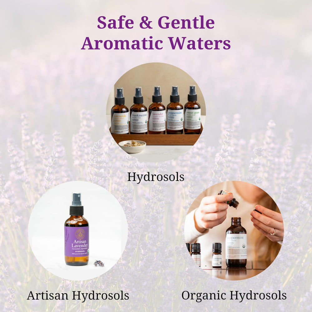 Aromatics International Lavender Artisan Hydrosol outdoor aroma ideal for patio or garden moments.