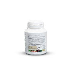 ART OF NATURE MASTIHA vegan capsules suitable for plant-based diets