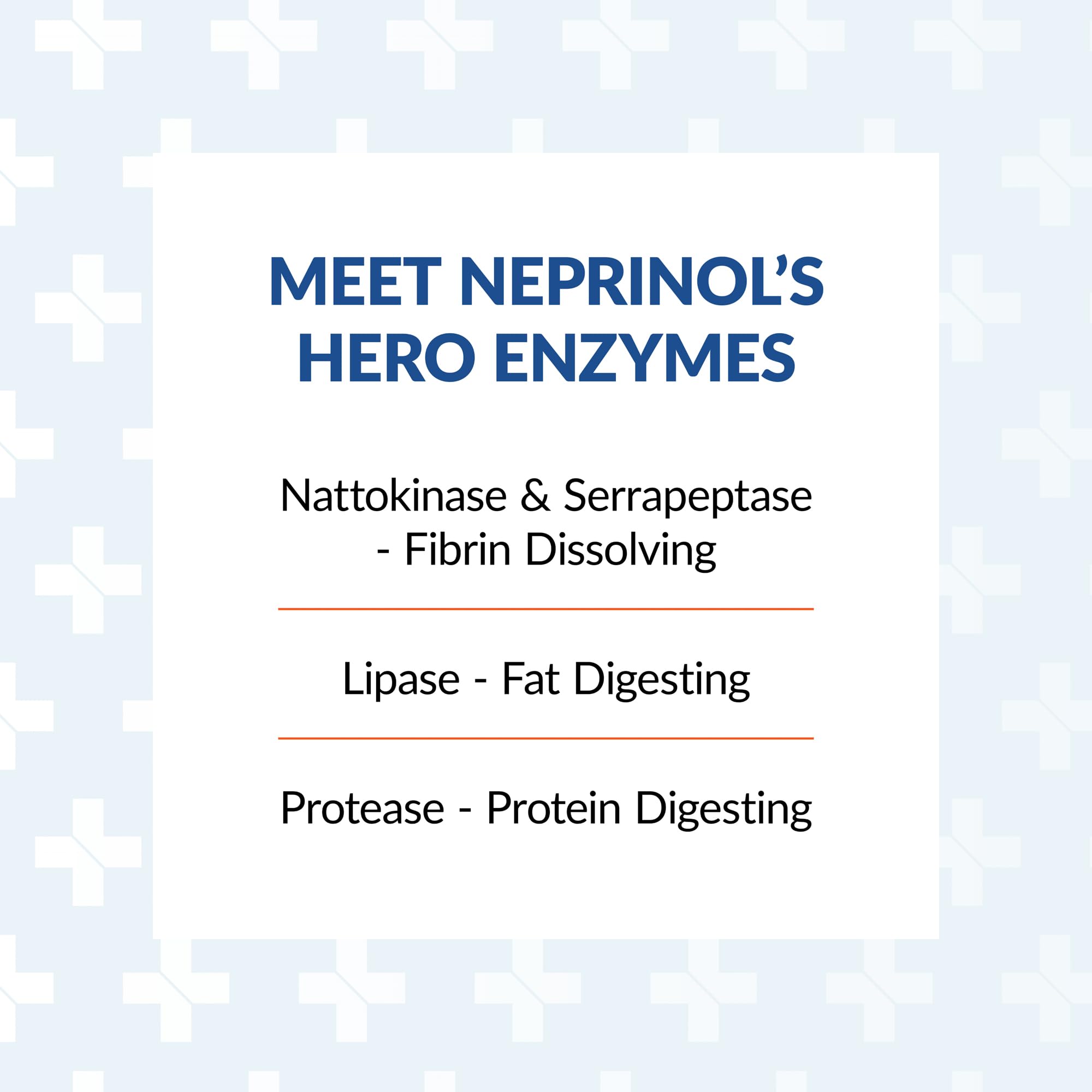 Arthur Andrew Medical Neprinol AFD capsules closeup highlighting high-dose enzyme blend.