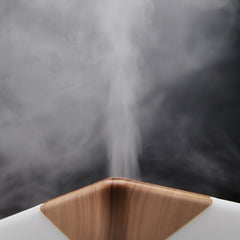 ASAKUKI diffuser made from PP material, baby-bottle grade for quality.