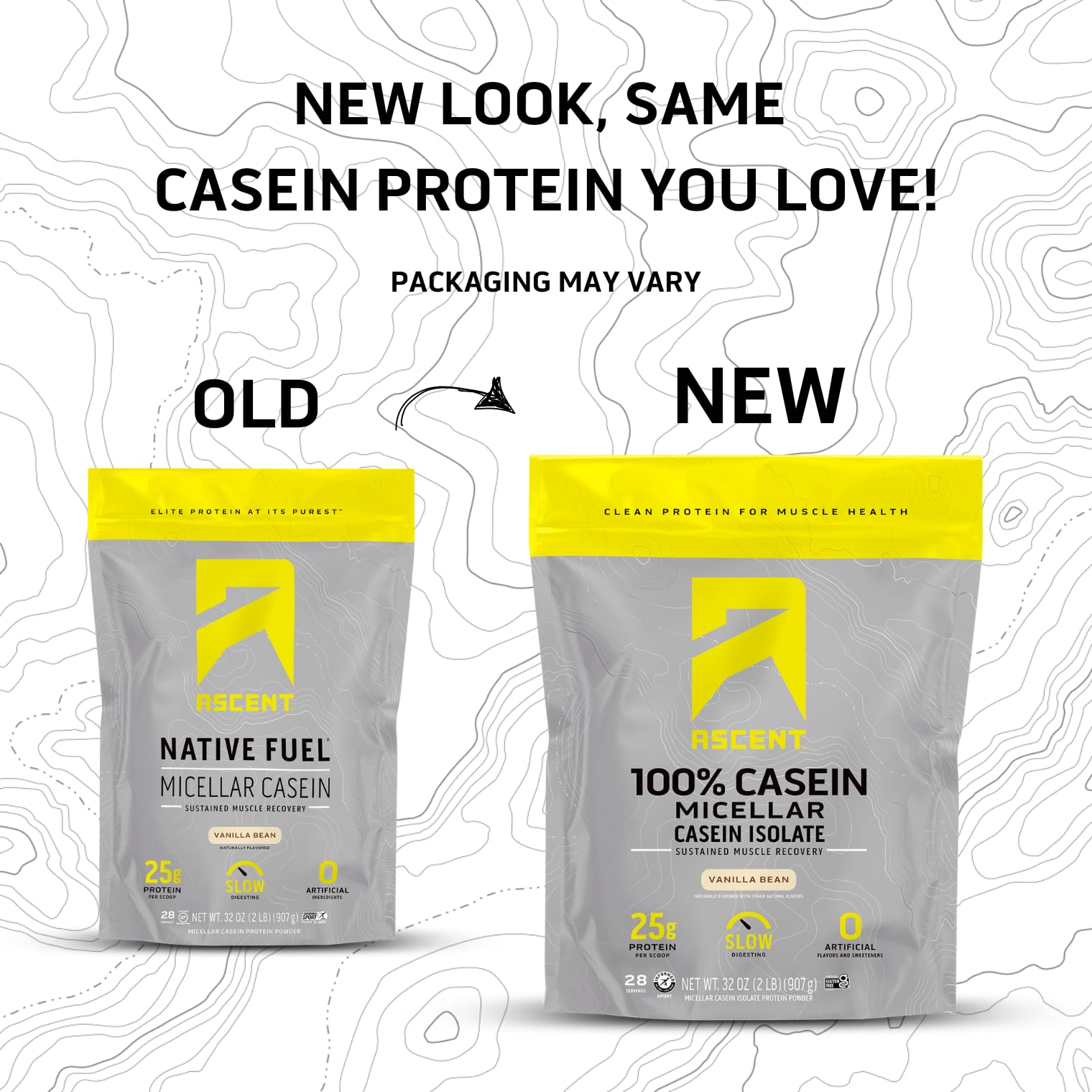 Ascent Casein Vanilla Bean scoop for easy portioning and quick shakes