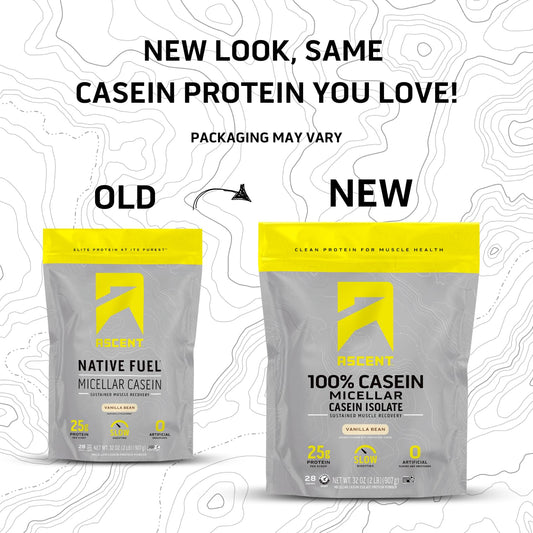 Ascent Casein Vanilla Bean scoop for easy portioning and quick shakes