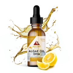 Ascent Nutrition Algae Oil DHA bottle, vegan omega-3 for daily cognitive support.