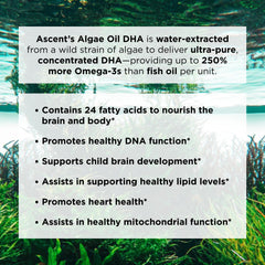 Golden algae oil with rich color ready for daily omega-3 intake.