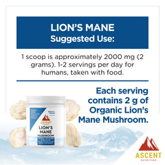 Ascent Nutrition Lions Mane powder blends smoothly into coffee and tea.