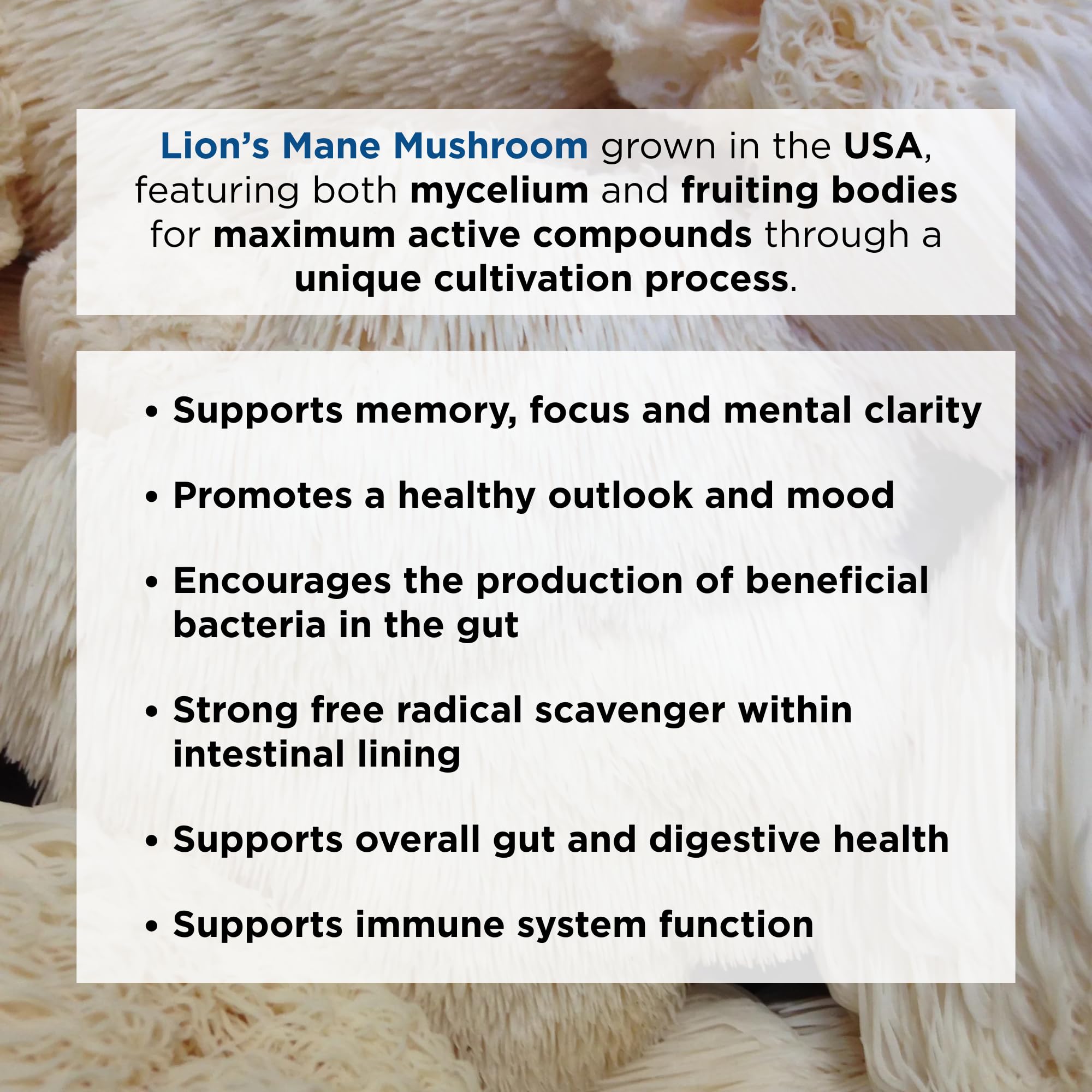 Ascent Nutrition Lions Mane powder supports gut comfort and digestive health routines.