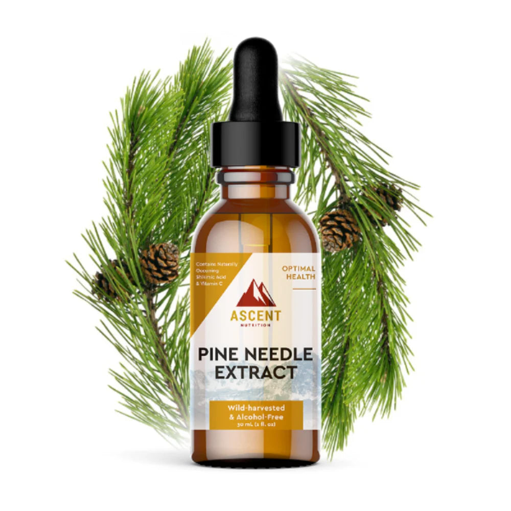 Ascent Nutrition Pine Needle Extract bottle shows a clean, alcohol-free tincture for daily use