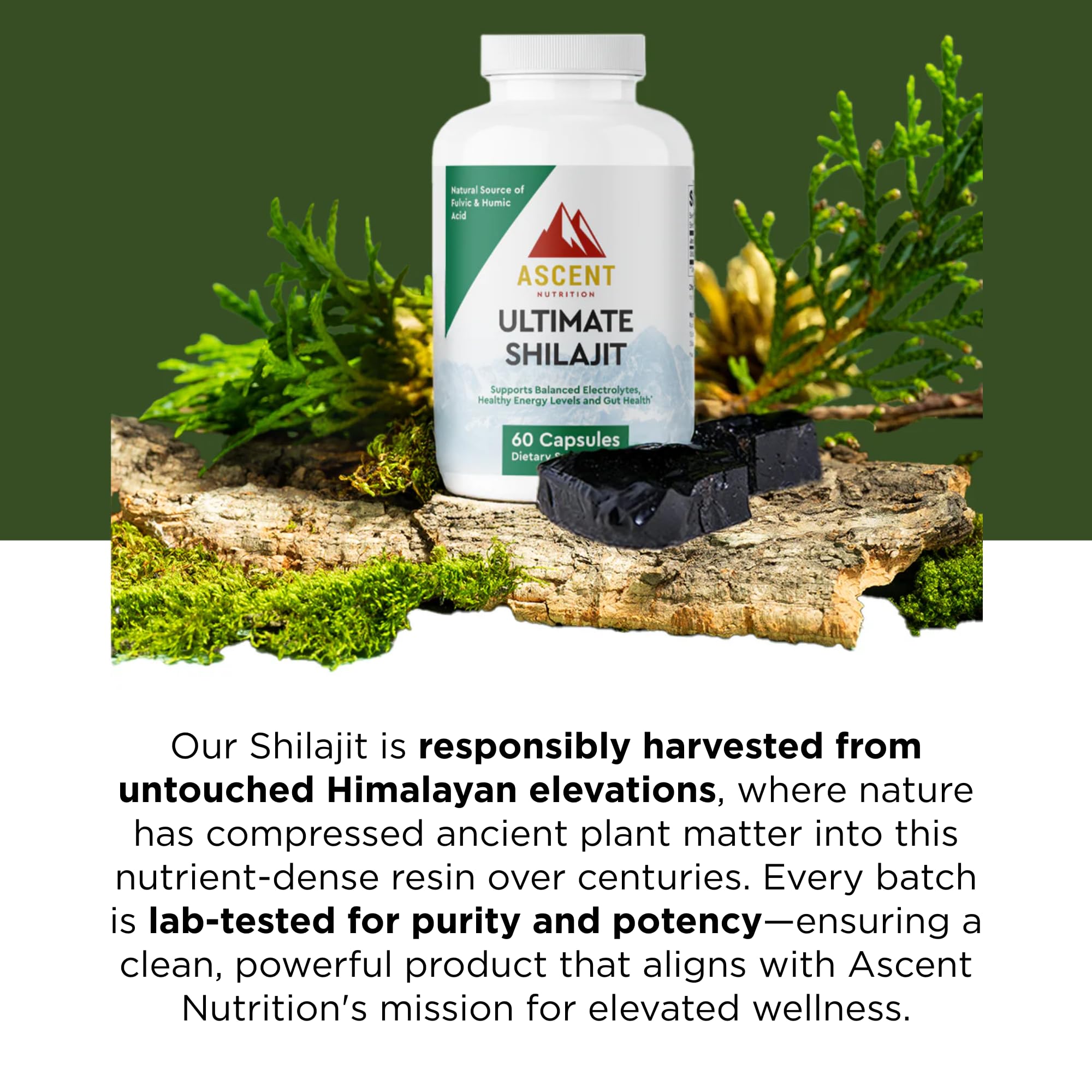 Ascent Nutrition Ultimate Shilajit label details reveal origin and harvest practices.
