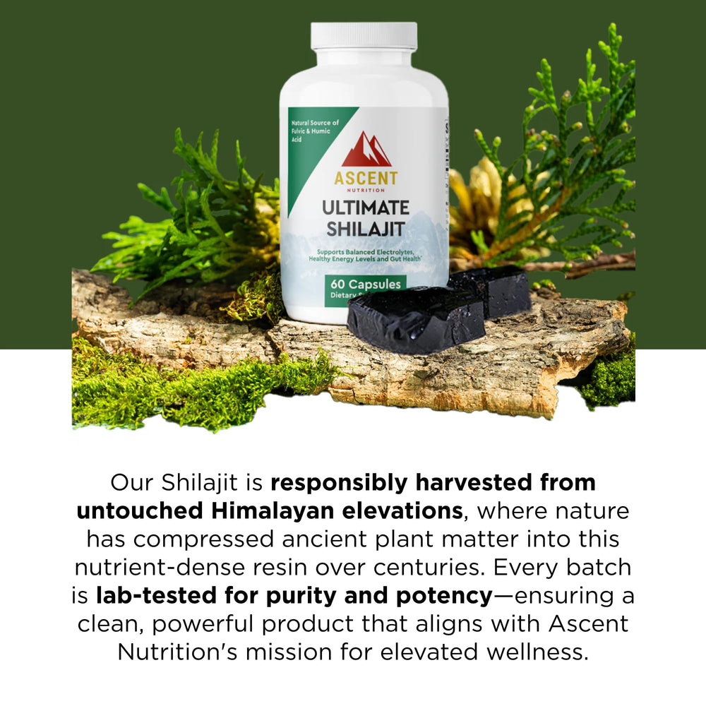 Ascent Nutrition Ultimate Shilajit label details reveal origin and harvest practices.