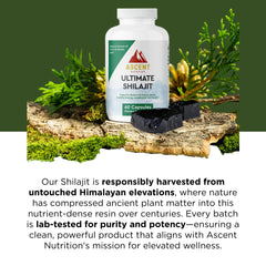 Ascent Nutrition Ultimate Shilajit label details reveal origin and harvest practices.