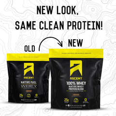 Ascent whey protein powder mixed with water for a silky shake.