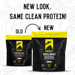 Ascent whey shaker scene ready to mix a protein drink after workouts.