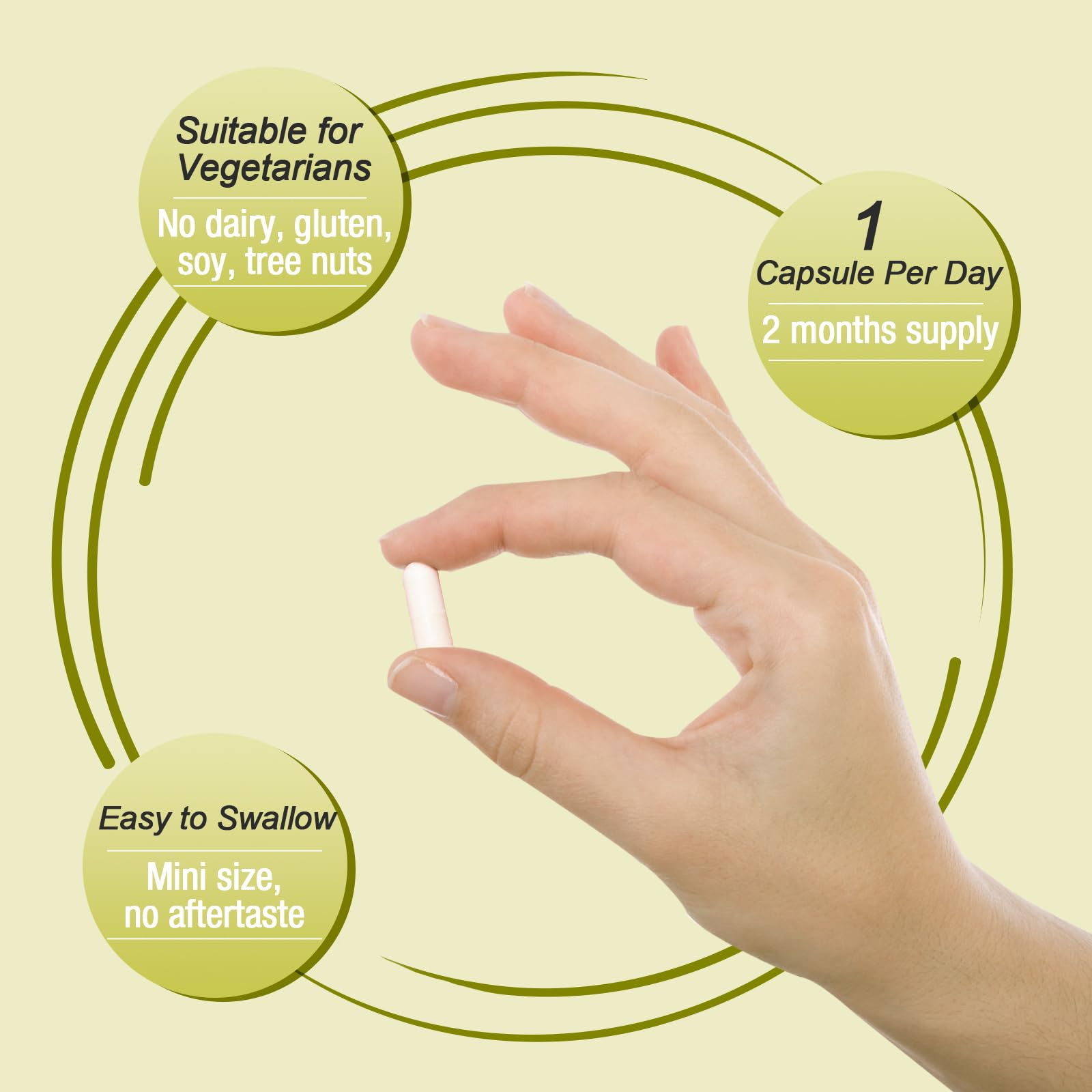 Ascuoli Probiotics digestive health scene – lifestyle use for everyday wellness.