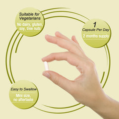 Ascuoli Probiotics digestive health scene – lifestyle use for everyday wellness.
