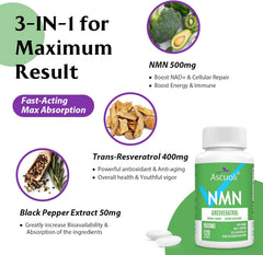 Ascuoli NMN daily routine setup for on-the-go use