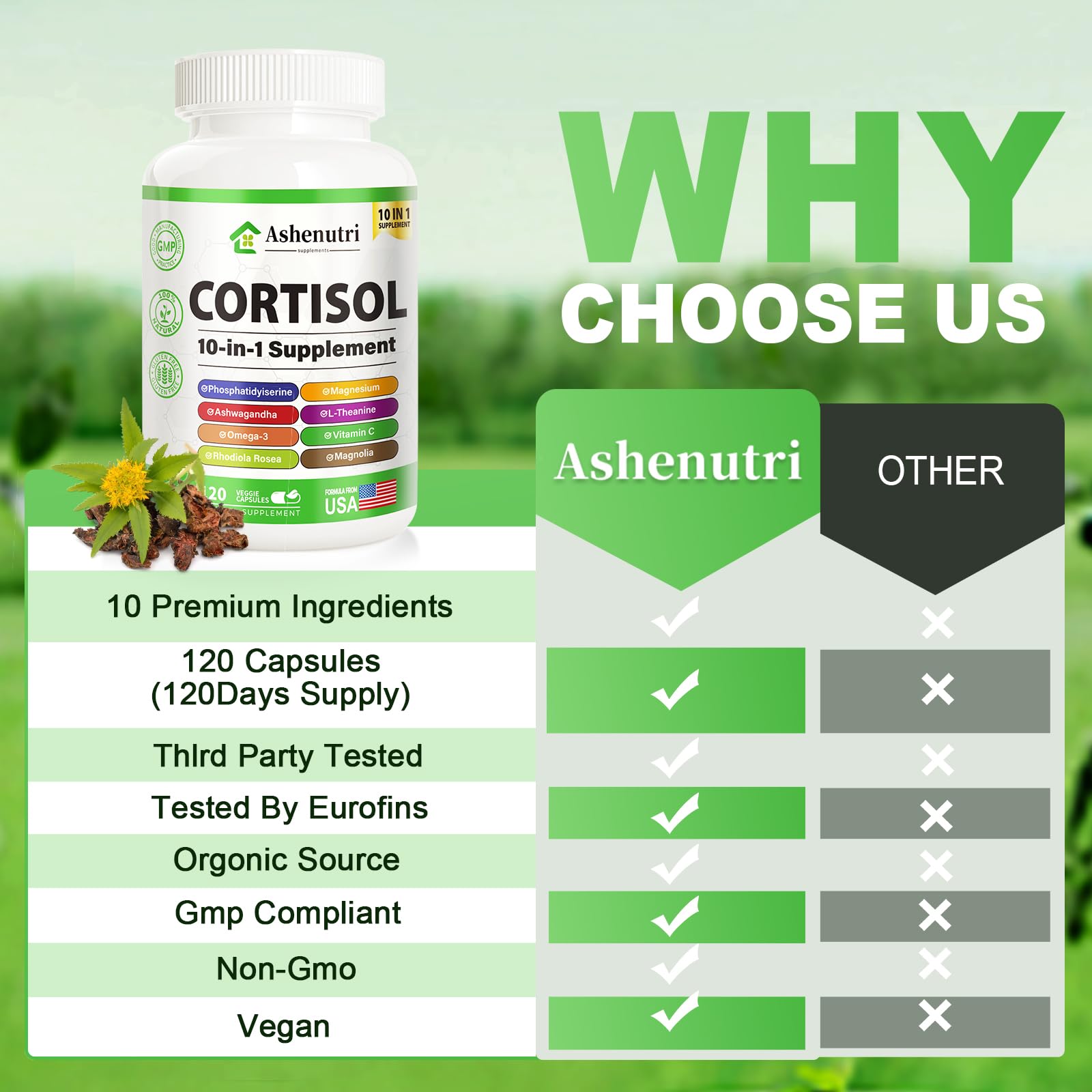 Ashenutri rhodiola rosea root shown for natural energy uplift.