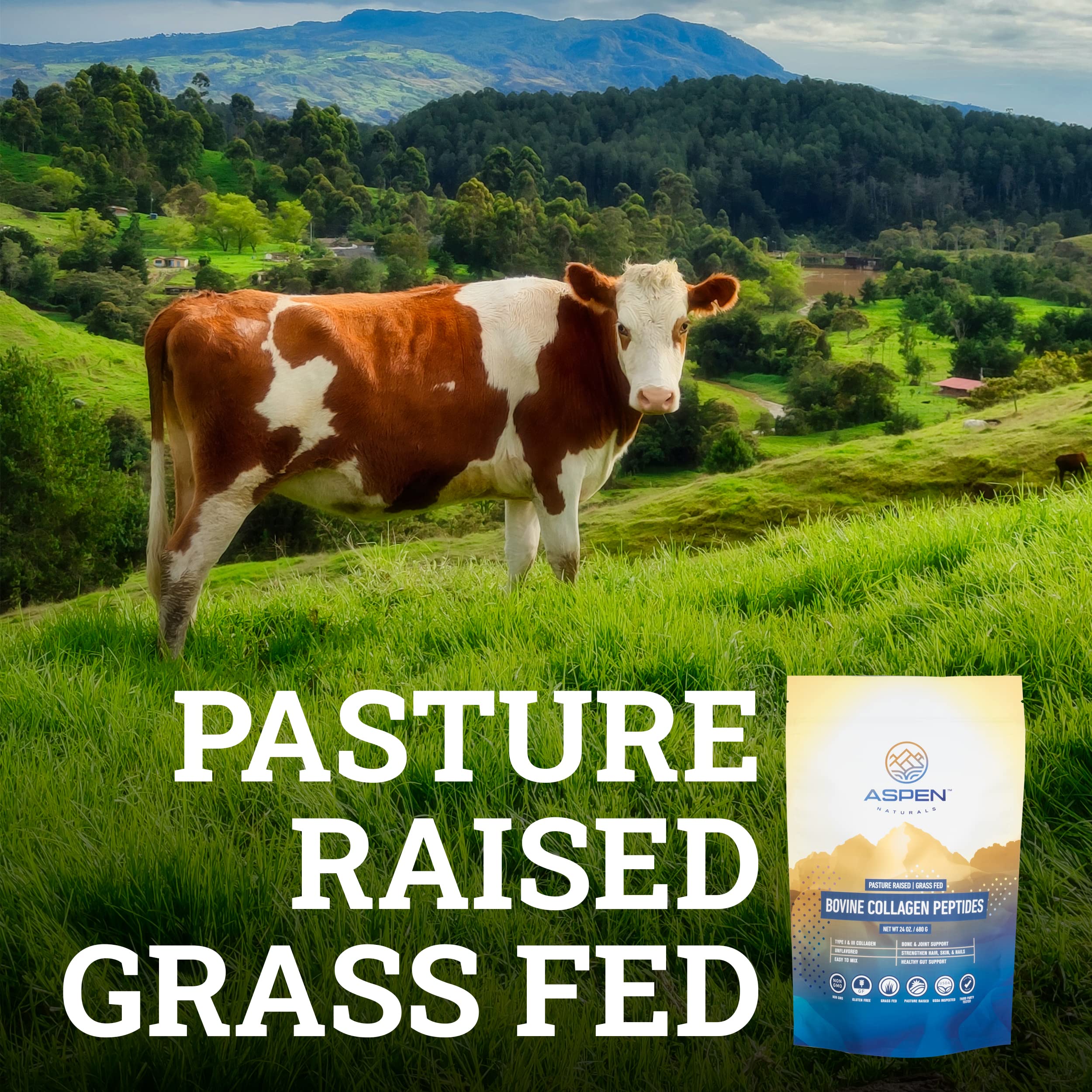 Aspen Naturals collagen powder dissolves in coffee or water without changing taste