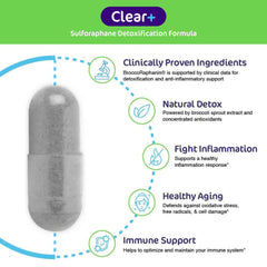 Clear+ detox ingredients show glucoraphanin and myrosinase for potential detox support