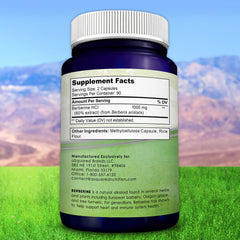 aSquared Nutrition pure berberine bottle with tablet held for scale.