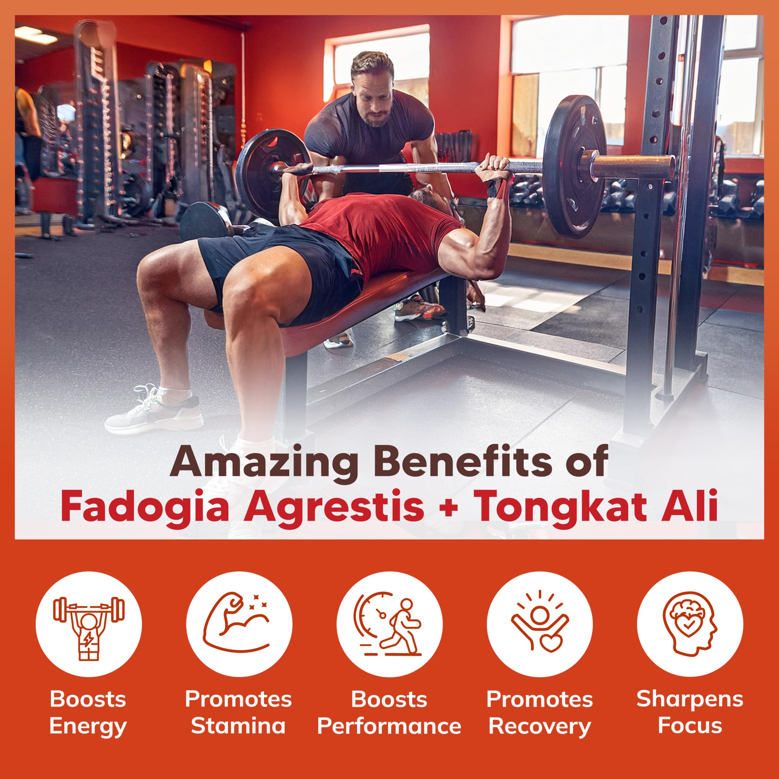 aSquared Nutrition tongkat ali powder on spoon suggests convenient daily use