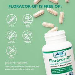 Gut health infographic featuring Floracor-GI branding.