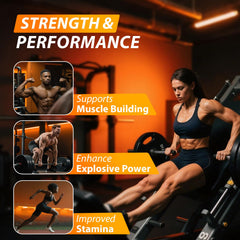 Asumtal Creatine Monohydrate Gummies bottle close-up label highlights vegan and sugar-free formula.