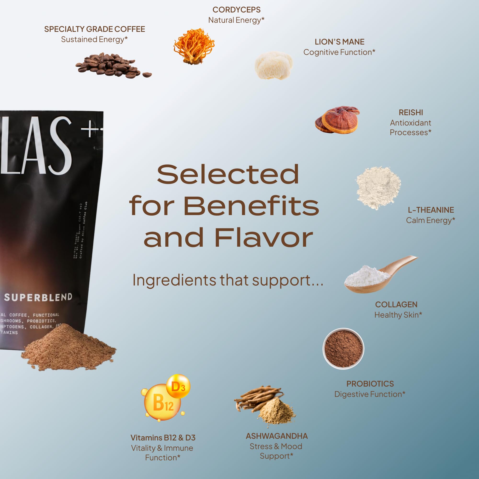 Atlas Coffee Club Atlas+ jar setup demonstrates daily vitality in a premium blend.