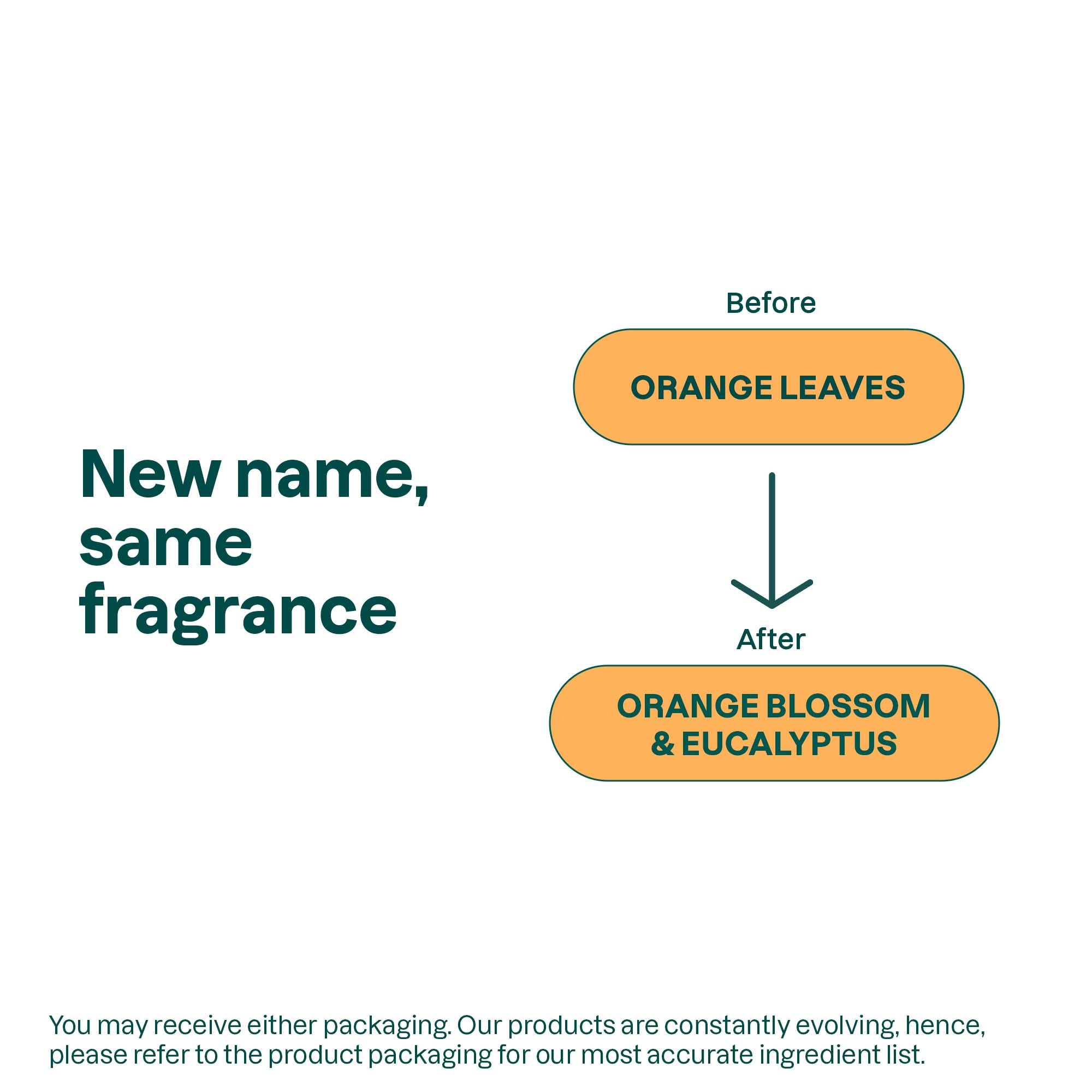 ATTITUDE hand sanitizer spray label view highlights vegan, plant-based formula.