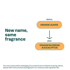 ATTITUDE hand sanitizer spray label view highlights vegan, plant-based formula.