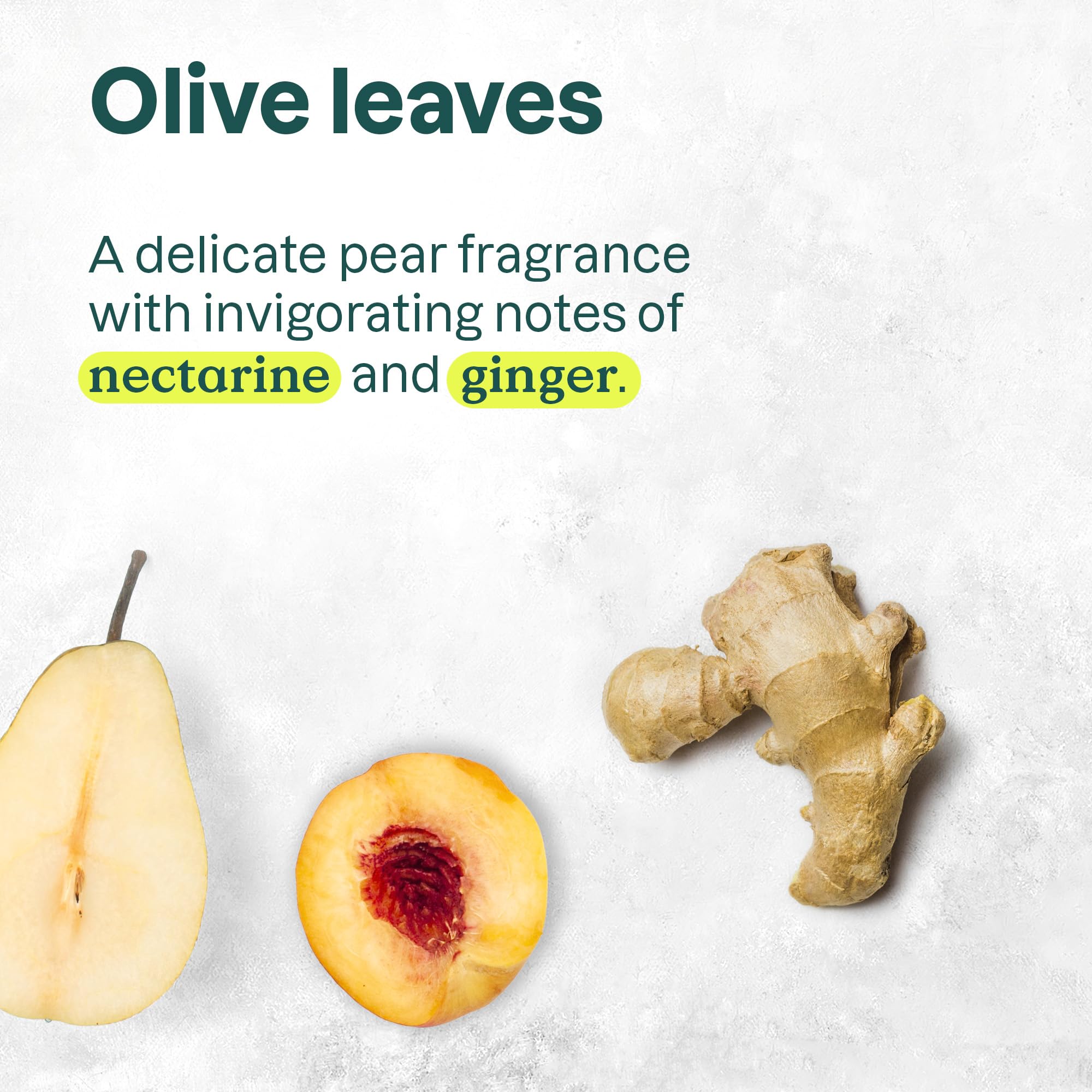 ATTITUDE olive-leaves fragrance close-up, pear and nectarine notes uplift the sensory experience.
