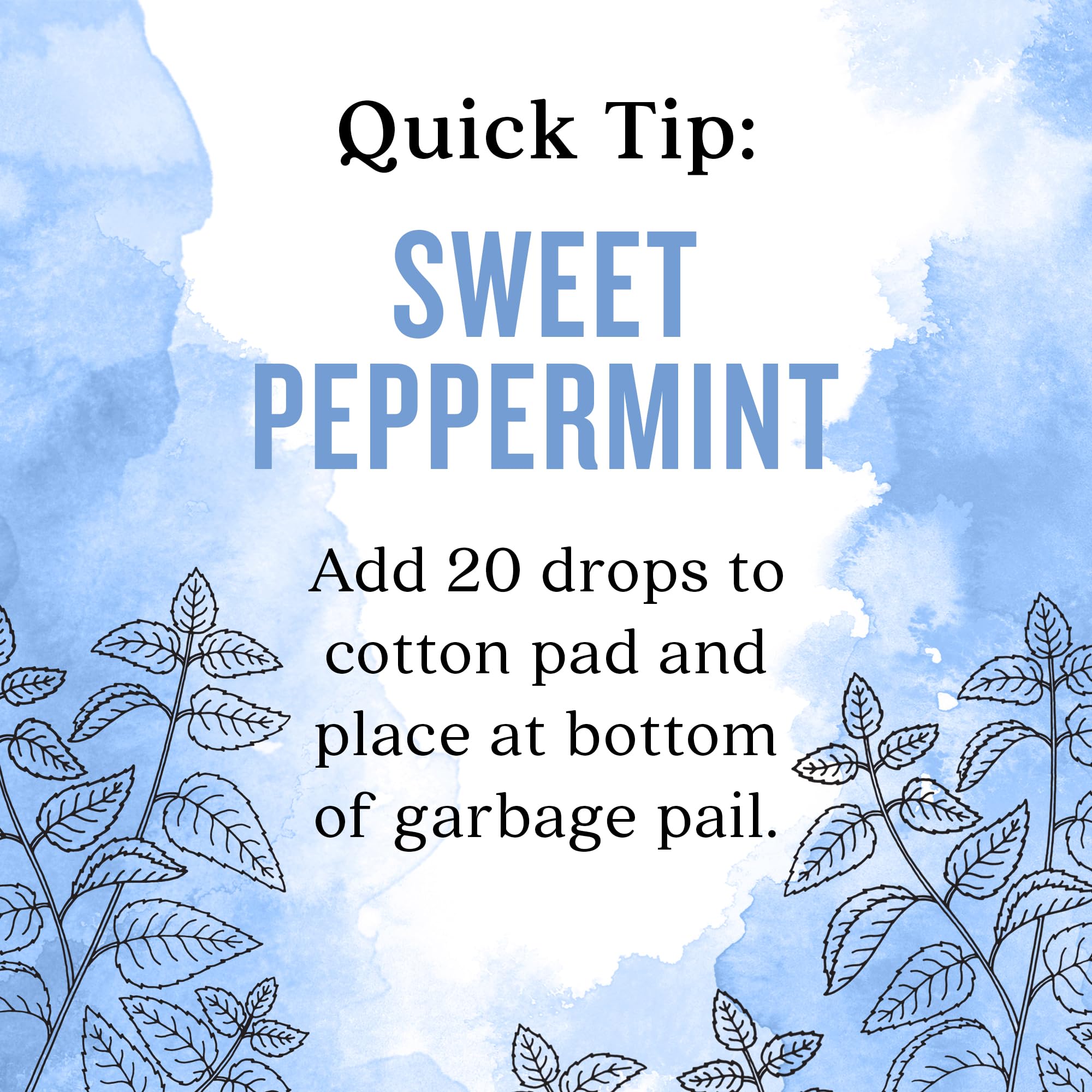 Aura Cacia Sweet Peppermint Oil packaging highlights ethical sourcing and GC/MS testing.
