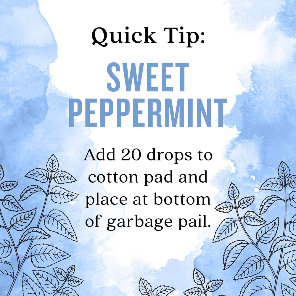 Aura Cacia Sweet Peppermint Oil packaging highlights ethical sourcing and GC/MS testing.
