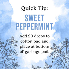 Aura Cacia Sweet Peppermint Oil packaging highlights ethical sourcing and GC/MS testing.
