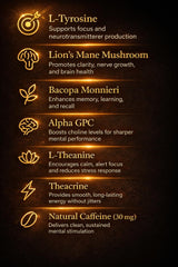 AURUM BOTANICA TeaCrine energy mix provides clean mental energy.
