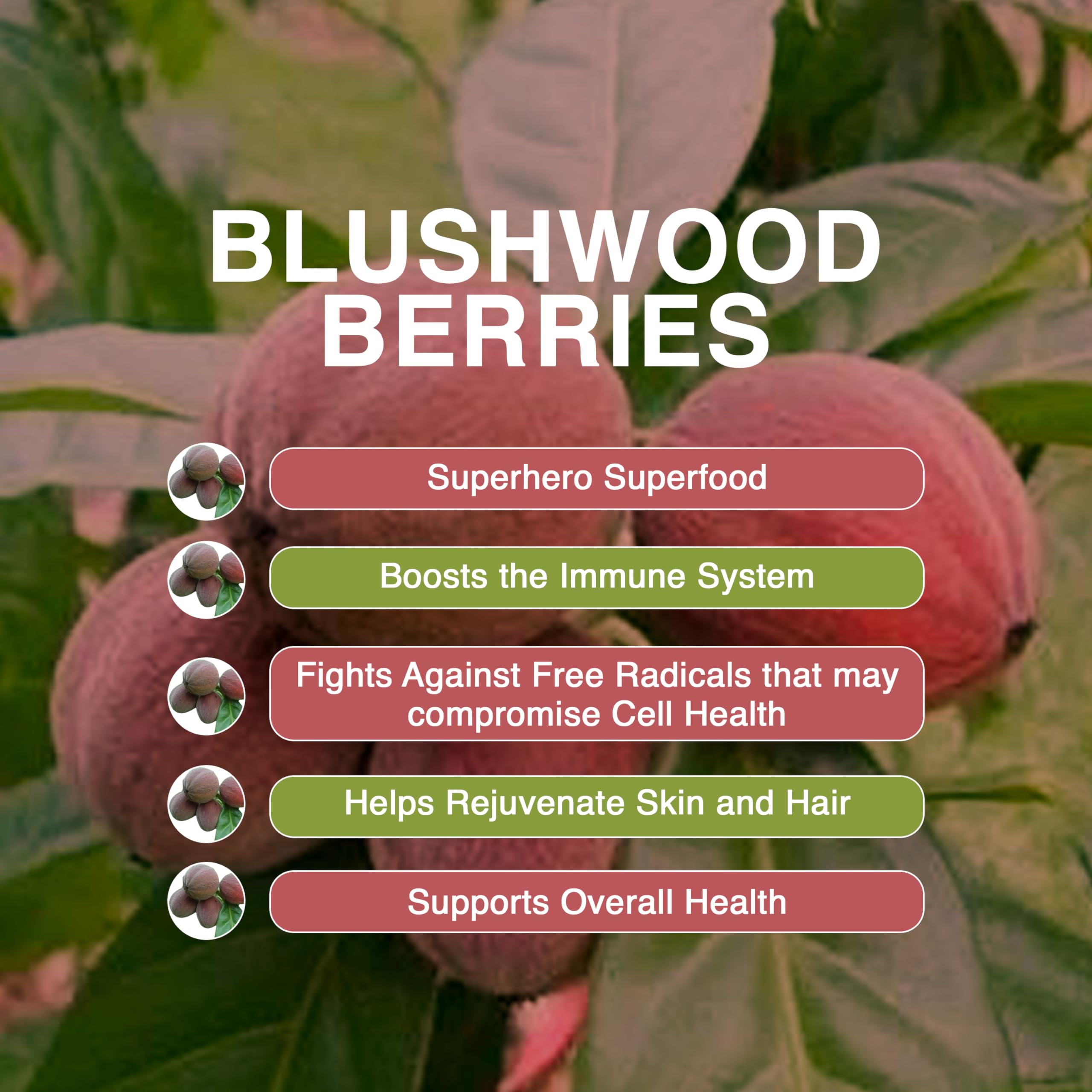 Aussie Pure Blushwood Berry packaging with branding and eco-friendly messaging.