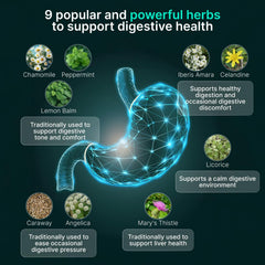 Authenta IBShield box packaging showcases the original herbal formula for wellness
