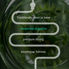 Authenta IBShield ingredient list visual outlines nine botanicals for balanced digestion