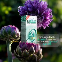 Authenta IBShield lifestyle shot conveys gentle, trustworthy digestive balance in everyday moments