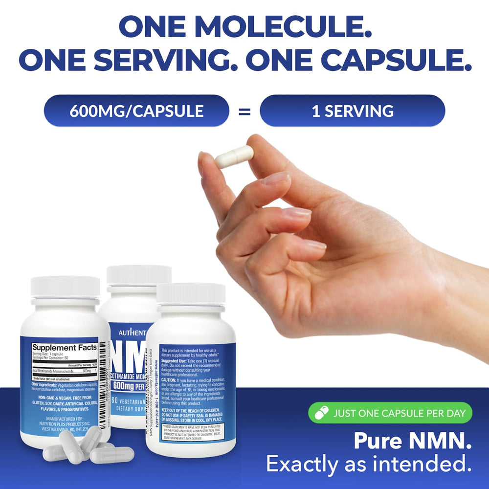 AUTHENTA NMN capsule close-up highlights 600 mg per capsule.