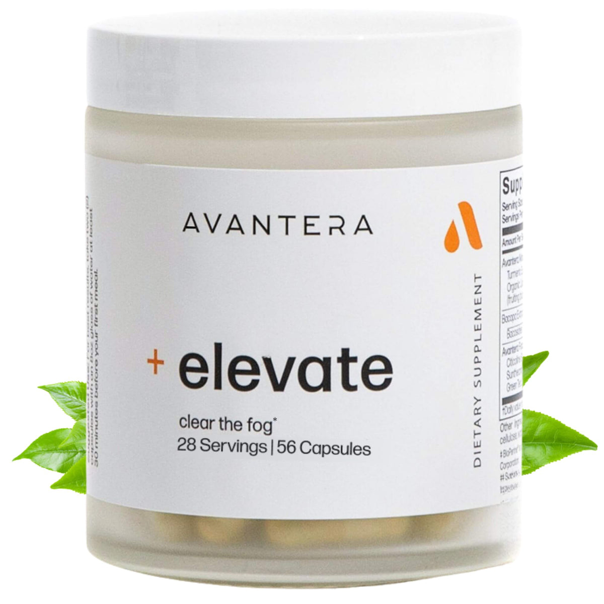 Avantera Elevate bottle front showing premium nootropic for daily focus.