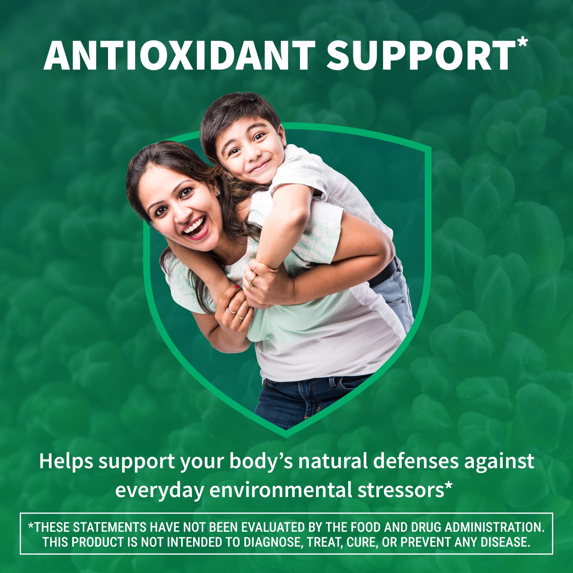 Avmacol glucoraphanin active myrosinase—key ingredients supporting natural detox pathways.