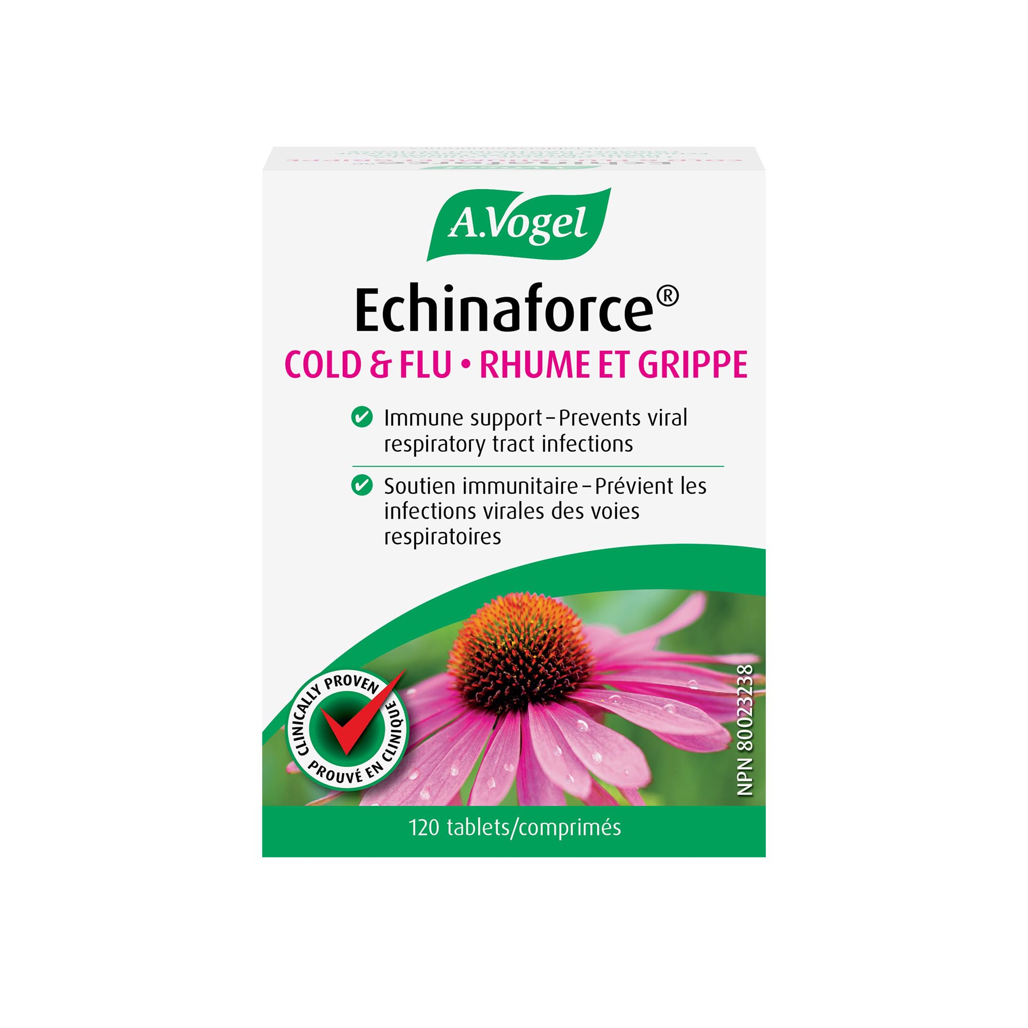 A.Vogel Echinaforce 120ct bottle on a kitchen counter for seasonal immune support.