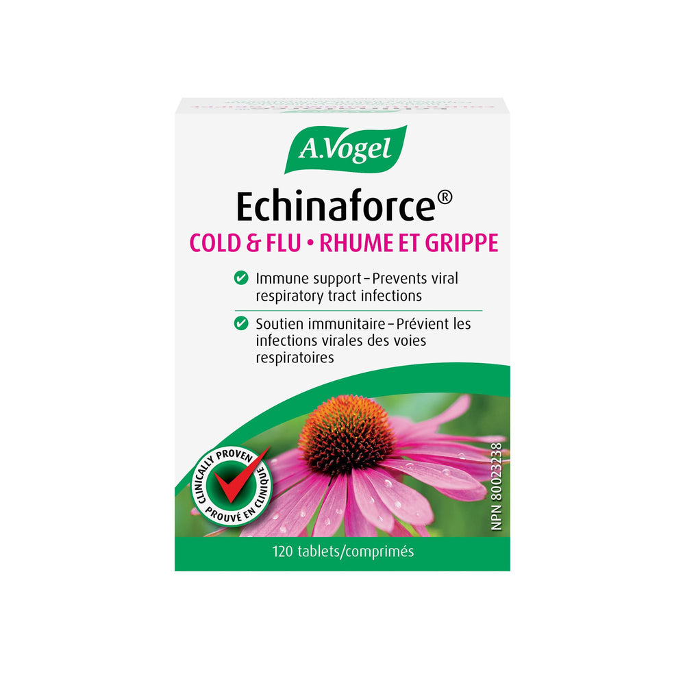 A.Vogel Echinaforce 120ct bottle on a kitchen counter for seasonal immune support.