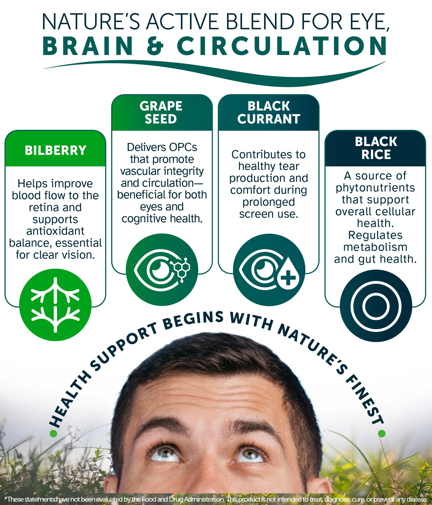 Awakened.energy OcuBerry ingredient blend highlighting pure vegan formula